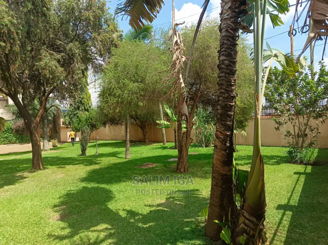 4bdrm Bungalow in Kololo Property, Nakawa for rent