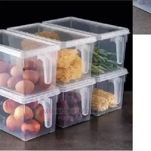 Fridge Container