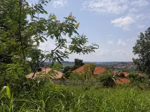 Plot's in Gayaza Kimwanyi on Quick Sale