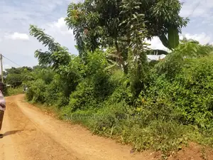 Plot's in Gayaza Kimwanyi on Quick Sale