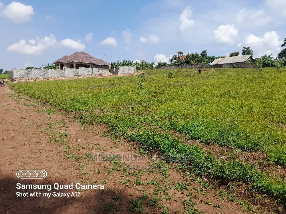 Plot in Kungu on Quick Sale