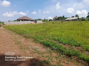 Plot in Kungu on Quick Sale