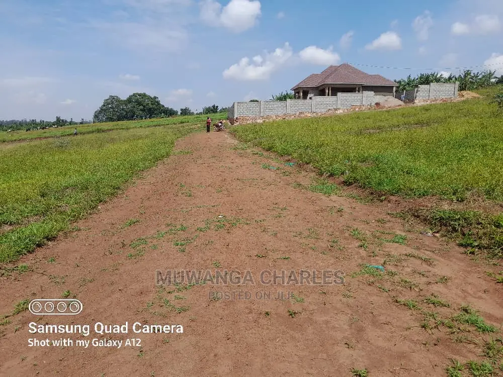 Plot in Kungu on Quick Sale