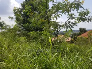 Plot in Buwate on Quick Sale