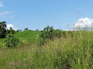 Plot in Buwate on Quick Sale
