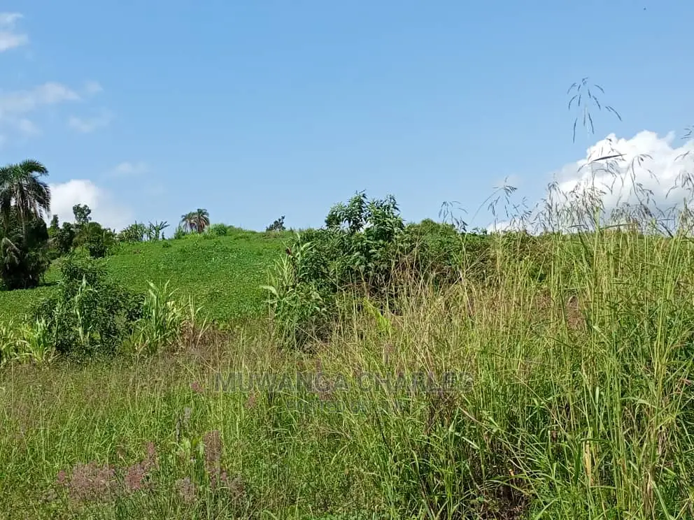 Plot in Buwate on Quick Sale