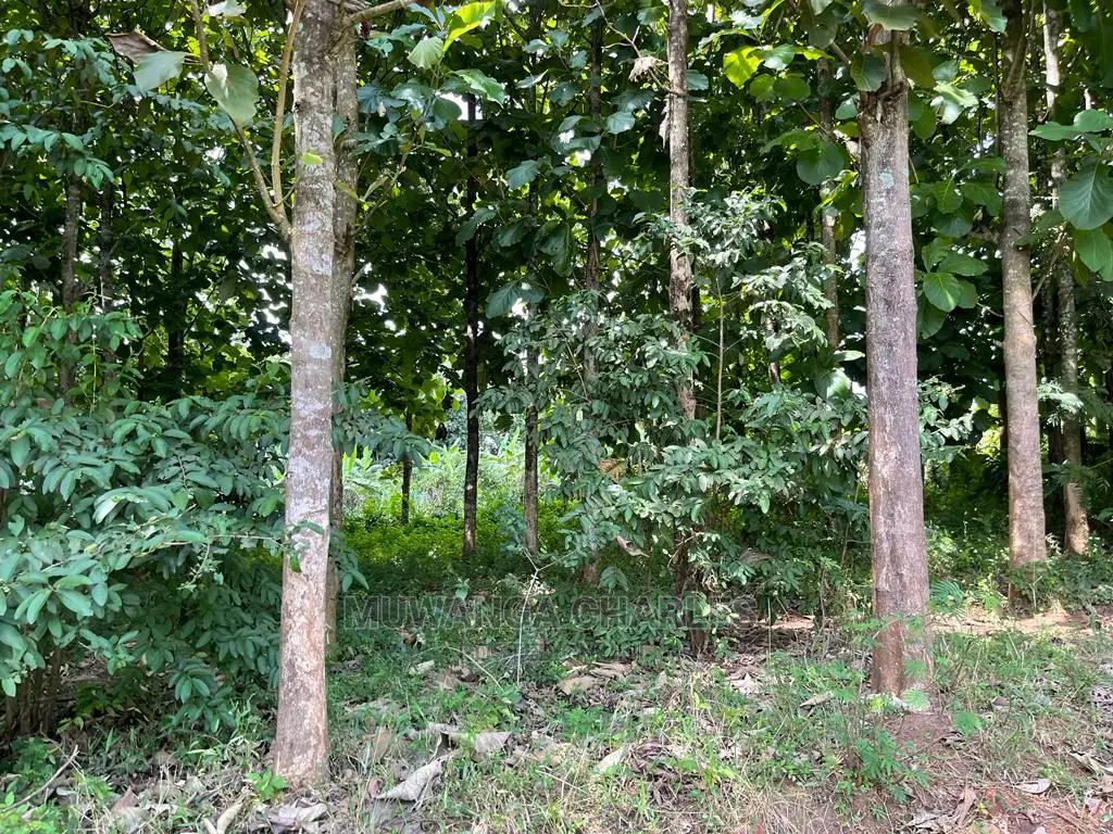 30acres of Land in Ndeje Bombo on Quick Sale