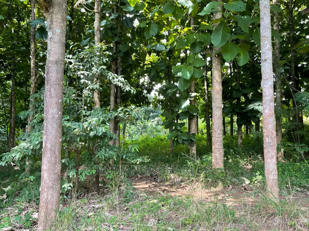 30acres of Land in Ndeje Bombo on Quick Sale