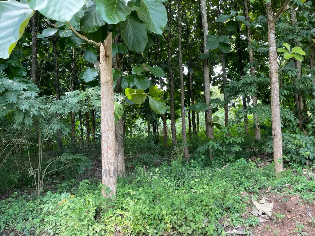 30acres of Land in Ndeje Bombo on Quick Sale
