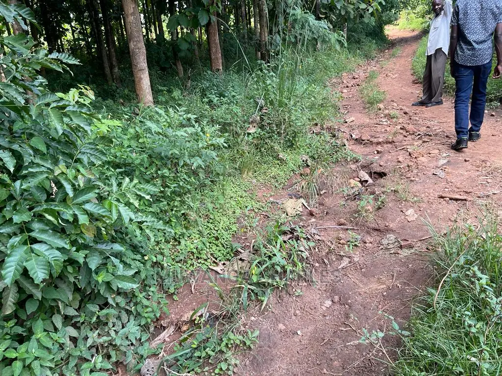 30acres of Land in Ndeje Bombo on Quick Sale