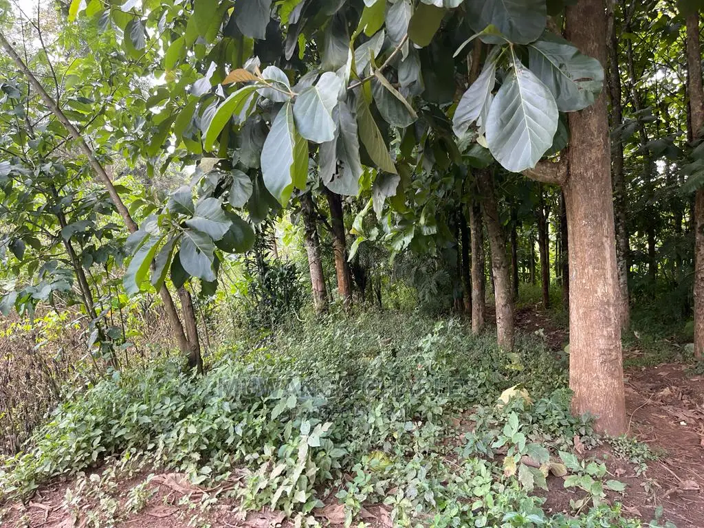 30acres of Land in Ndeje Bombo on Quick Sale