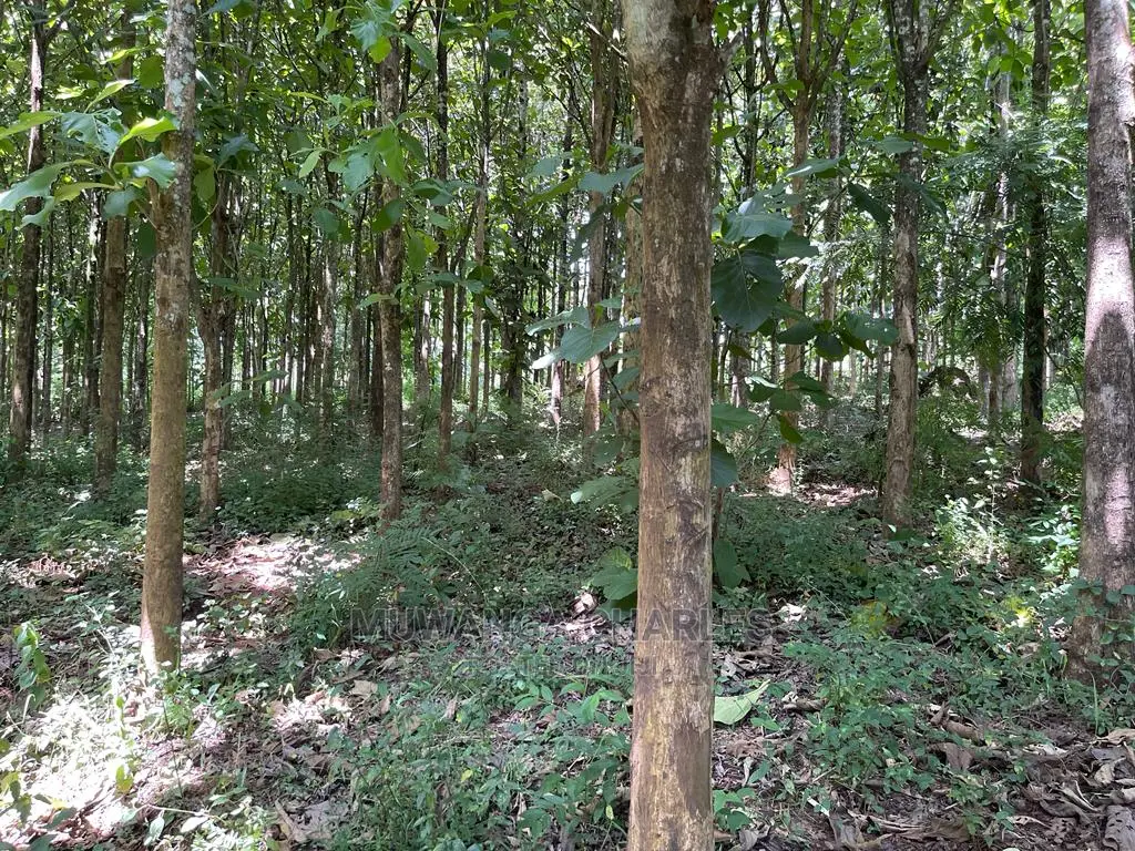 30acres of Land in Ndeje Bombo on Quick Sale
