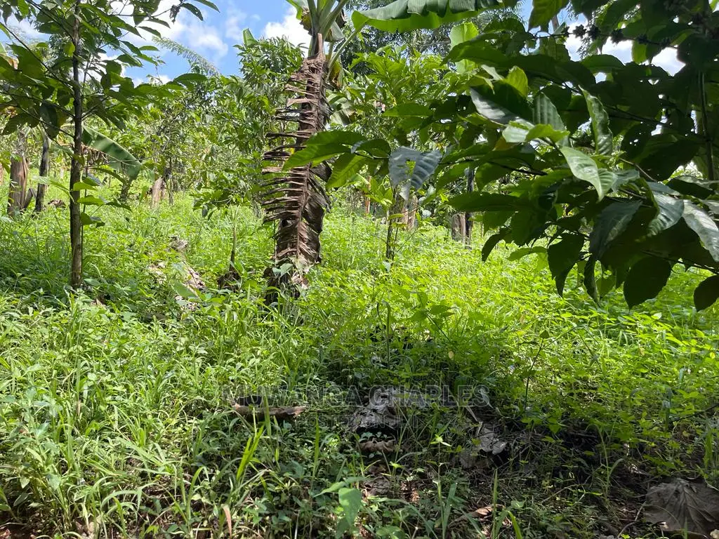 30acres of Land in Ndeje Bombo on Quick Sale