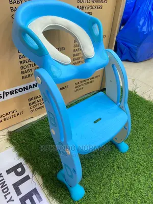 Toilet Ladder