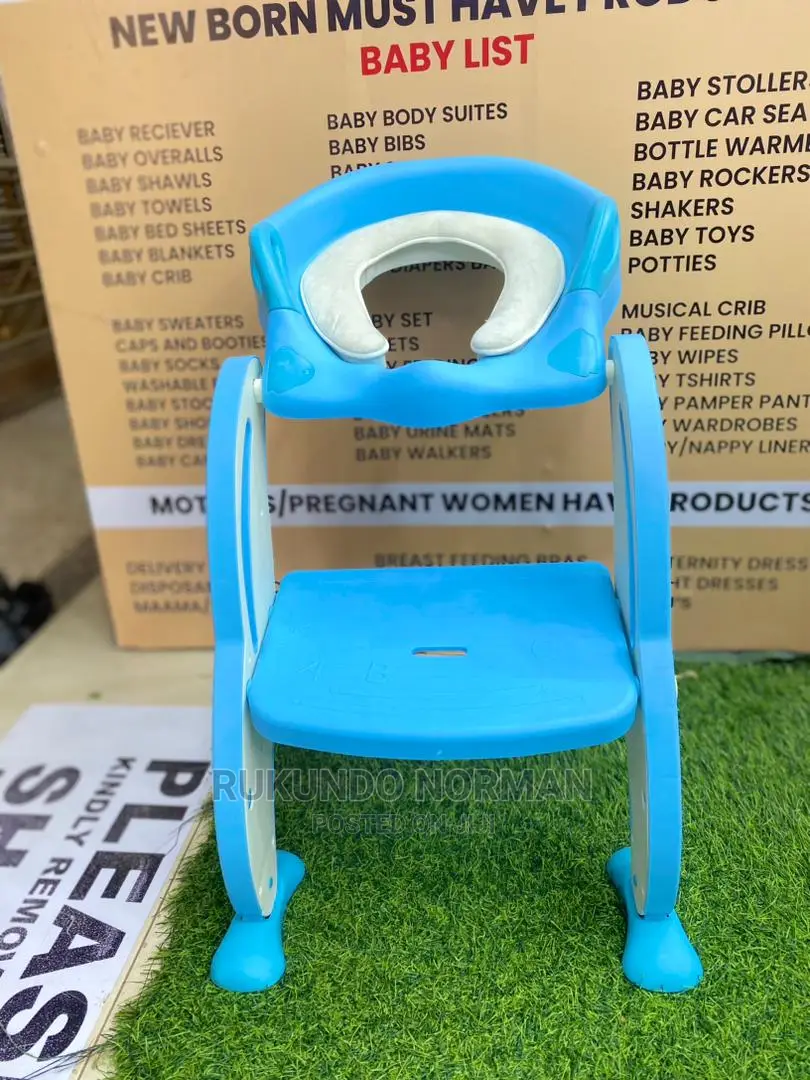 Toilet Ladder