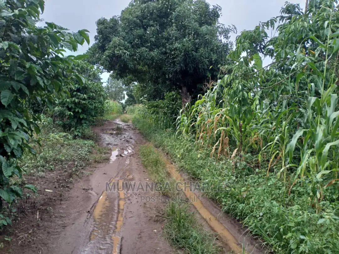 5acres of Land in Wakatayi on Quick Sale
