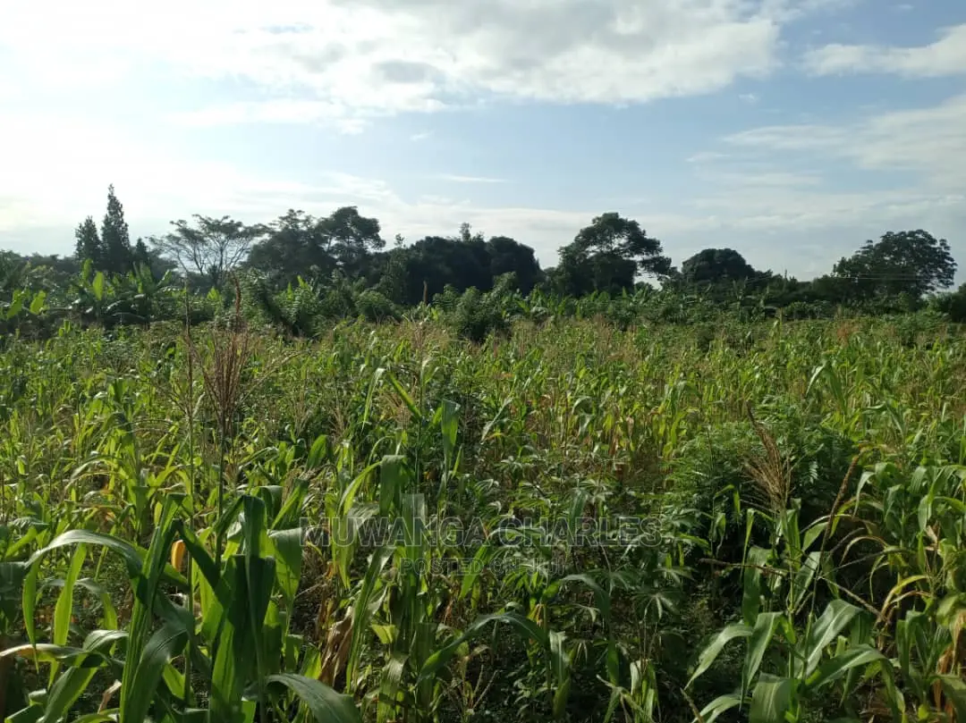 5acres of Land in Wakatayi on Quick Sale
