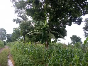 5acres of Land in Wakatayi on Quick Sale