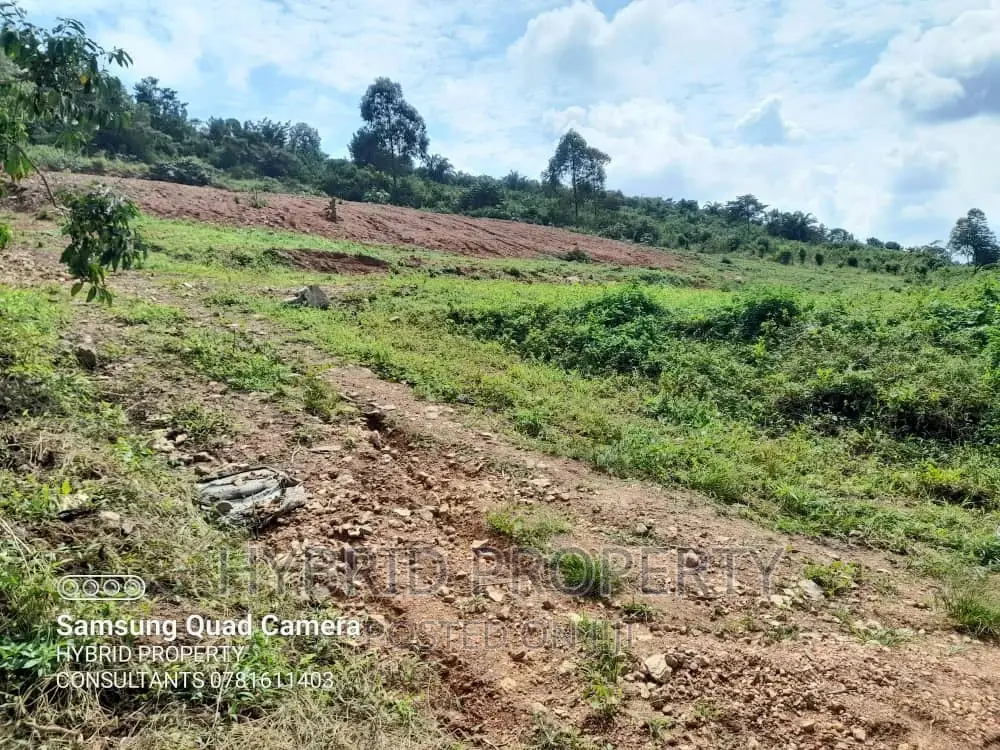 Prime Plots for Sale at Our Mwera~Katiti Estate~Hoima Road.
