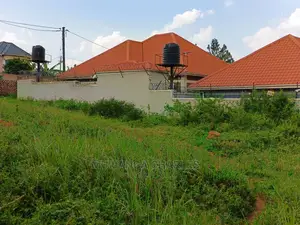 Plot's in Kungu on Quick Sale