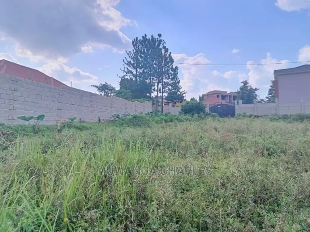 Plot's in Kungu on Quick Sale
