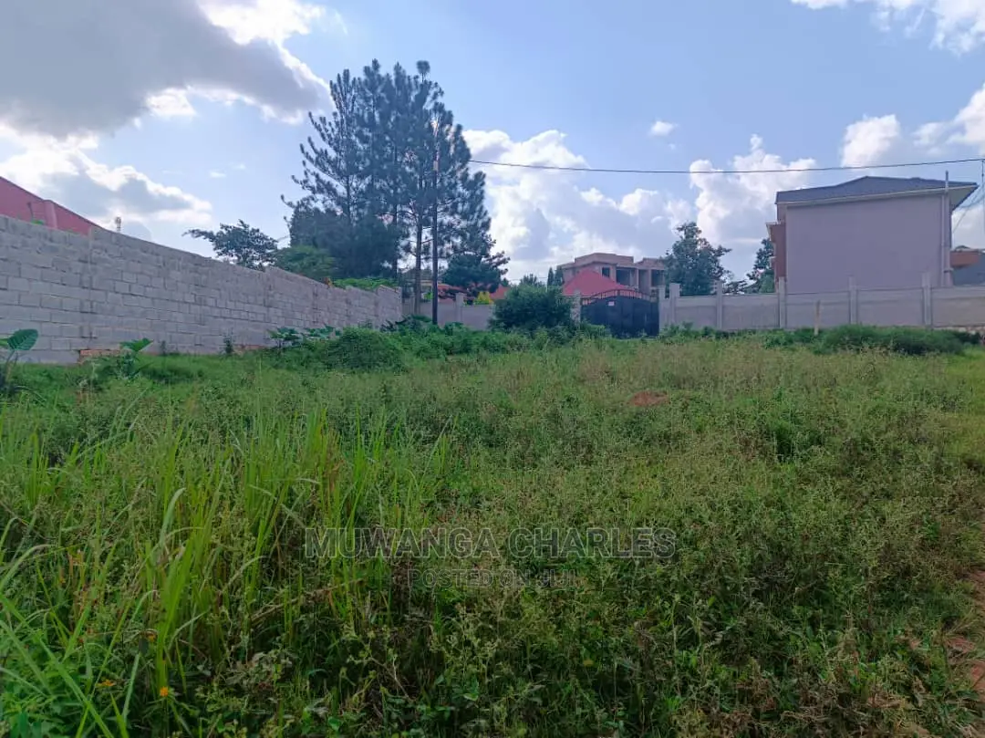 Plot's in Kungu on Quick Sale