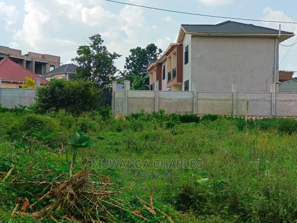 Plot's in Kungu on Quick Sale