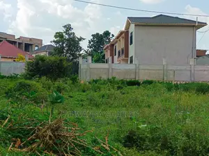 Plot's in Kungu on Quick Sale