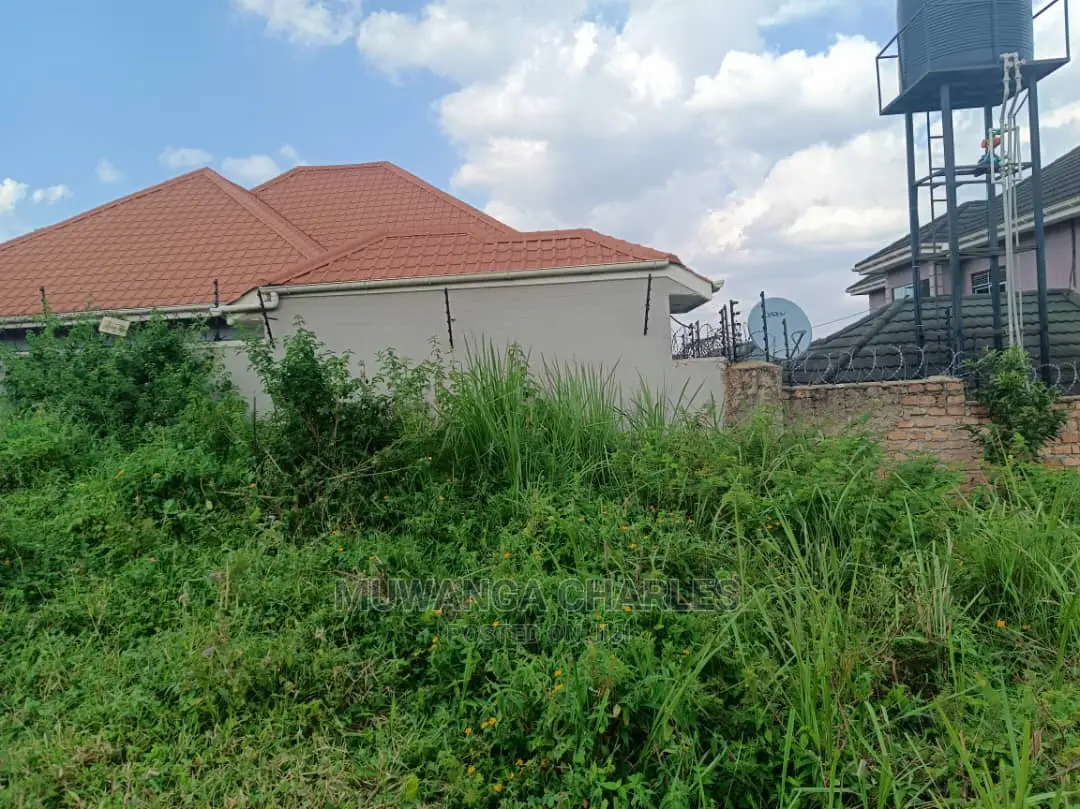 Plot's in Kungu on Quick Sale