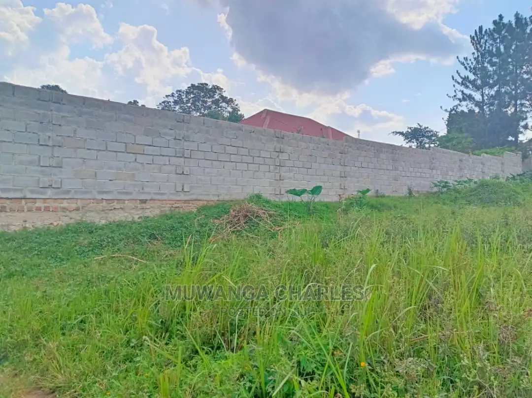 Plot's in Kungu on Quick Sale