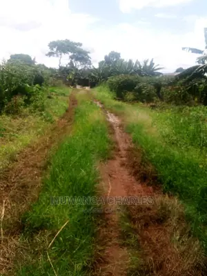 Plot's in Gayaza Kijabijo on Quick Sale