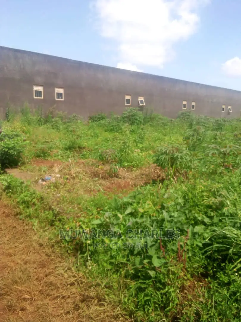 Plot's in Gayaza Kijabijo on Quick Sale