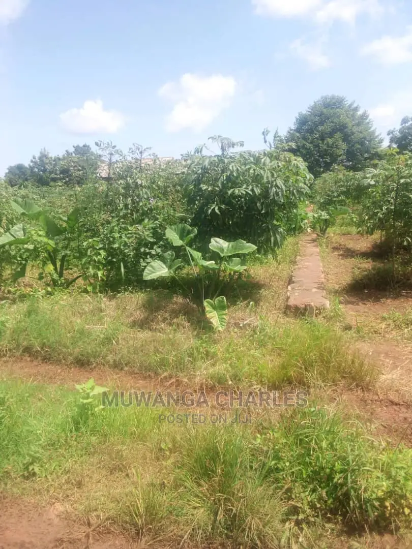 Plot's in Gayaza Kijabijo on Quick Sale