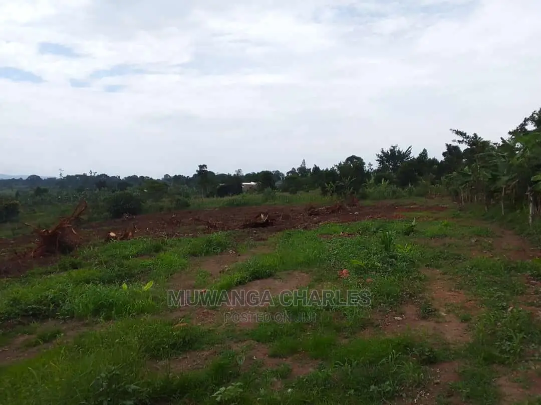 Land in Wabutungulu on Quick Sale