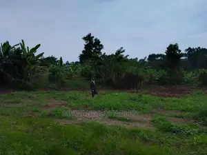 Land in Wabutungulu on Quick Sale