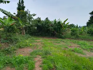 Land in Wabutungulu on Quick Sale