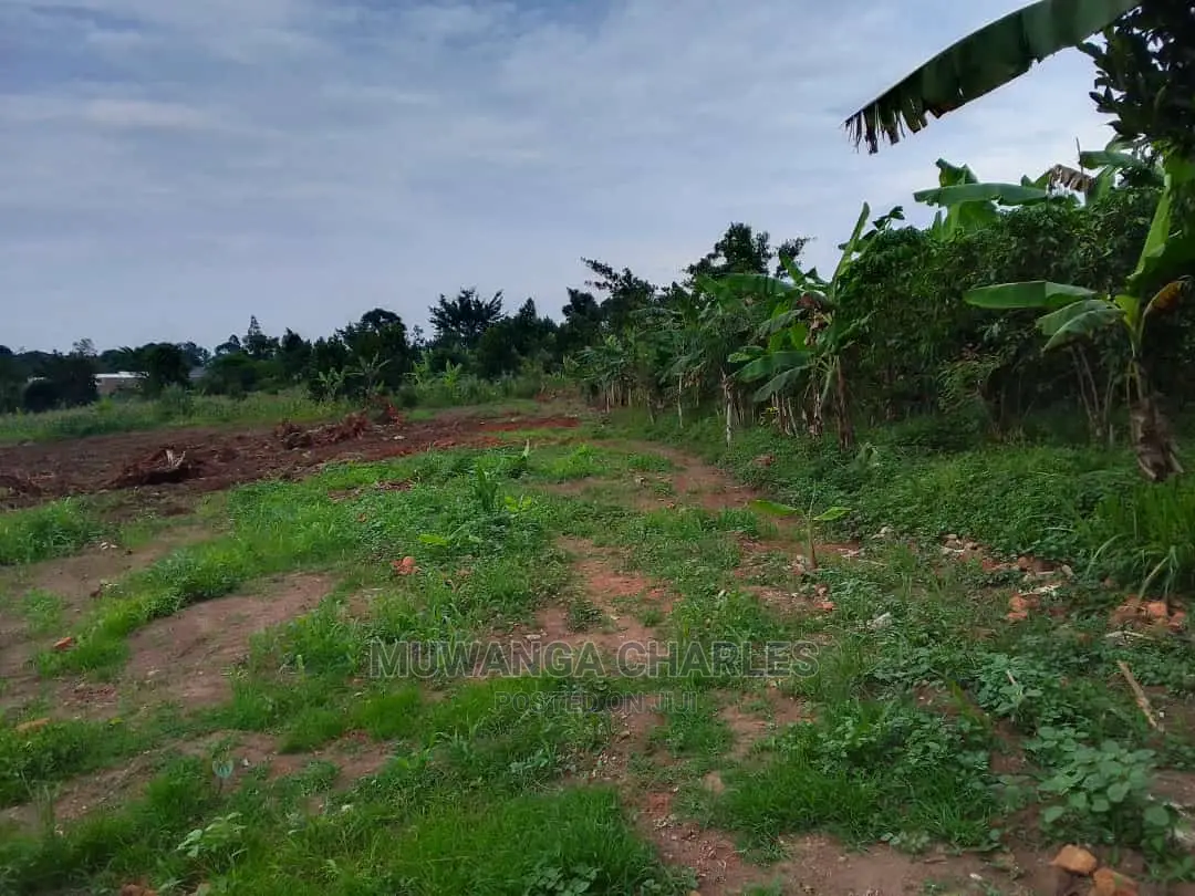Land in Wabutungulu on Quick Sale