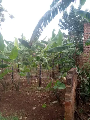 100by50ft Plot on Sale at Kyanja