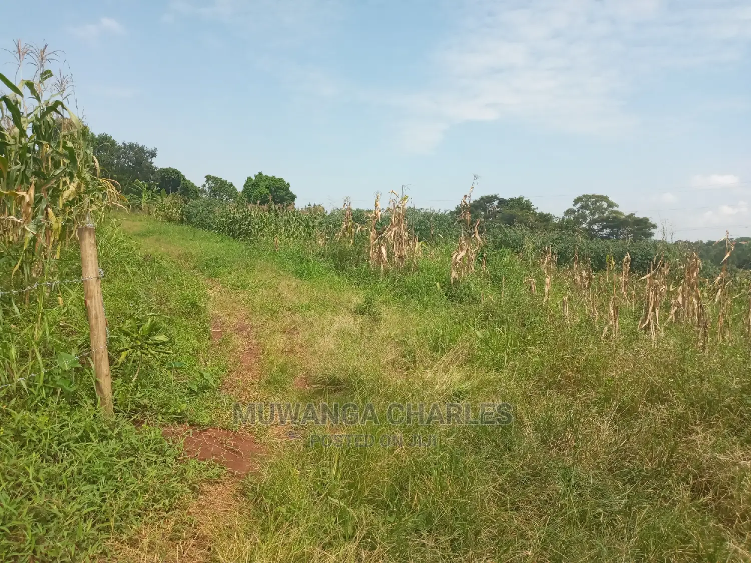 Plot in Busika on Quick Sale