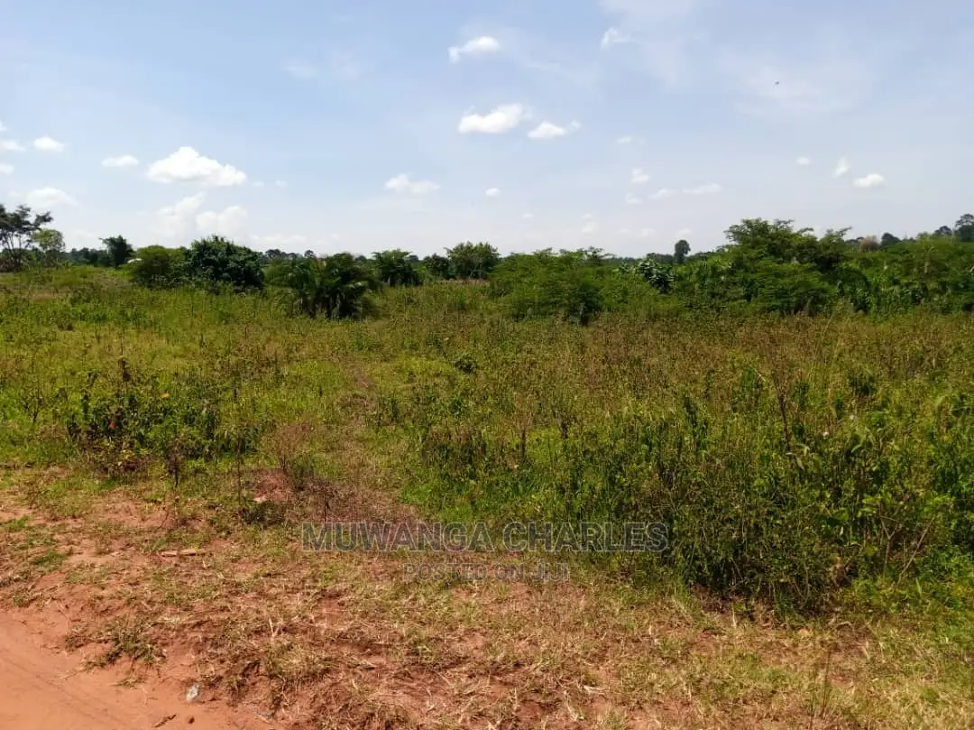 Plot in Busika on Quick Sale