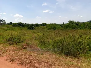 Plot in Busika on Quick Sale