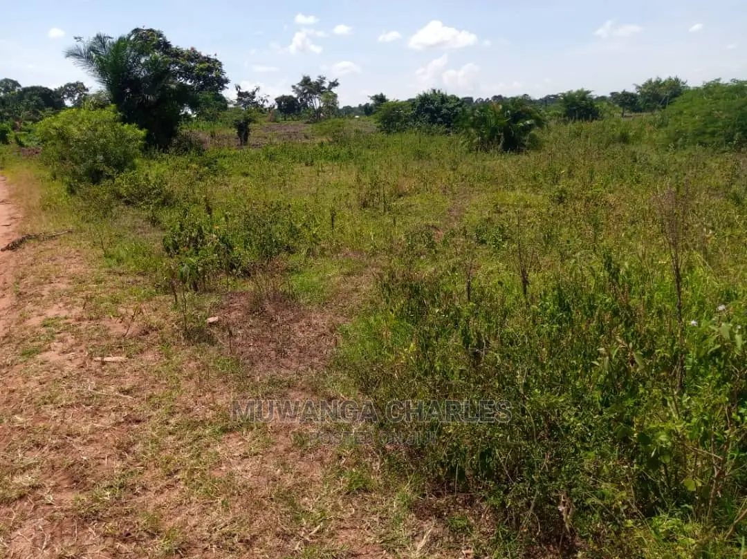 Plot in Busika on Quick Sale