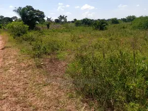 Plot in Busika on Quick Sale