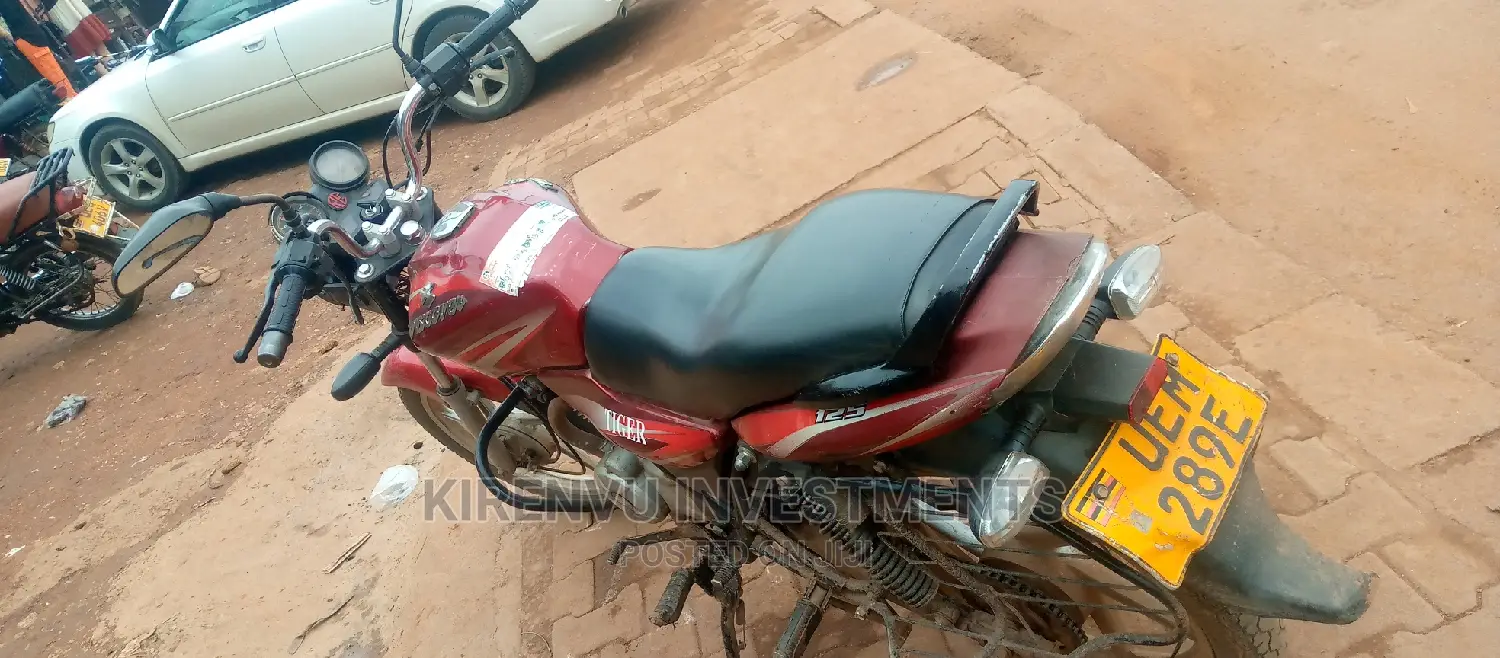 Apsonic AP125-12 2015 Red