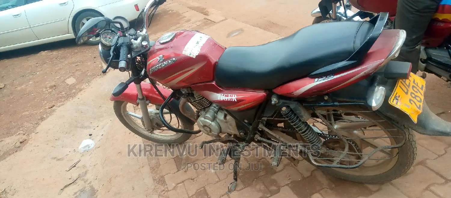 Apsonic AP125-12 2015 Red