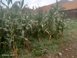 Commercial 1acre in Bweyogerere on Quick Sale