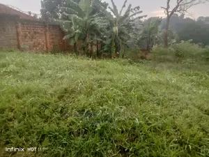 Plots in Kisaasi on Quick Sale
