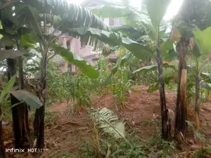 Plots in Kisaasi on Quick Sale