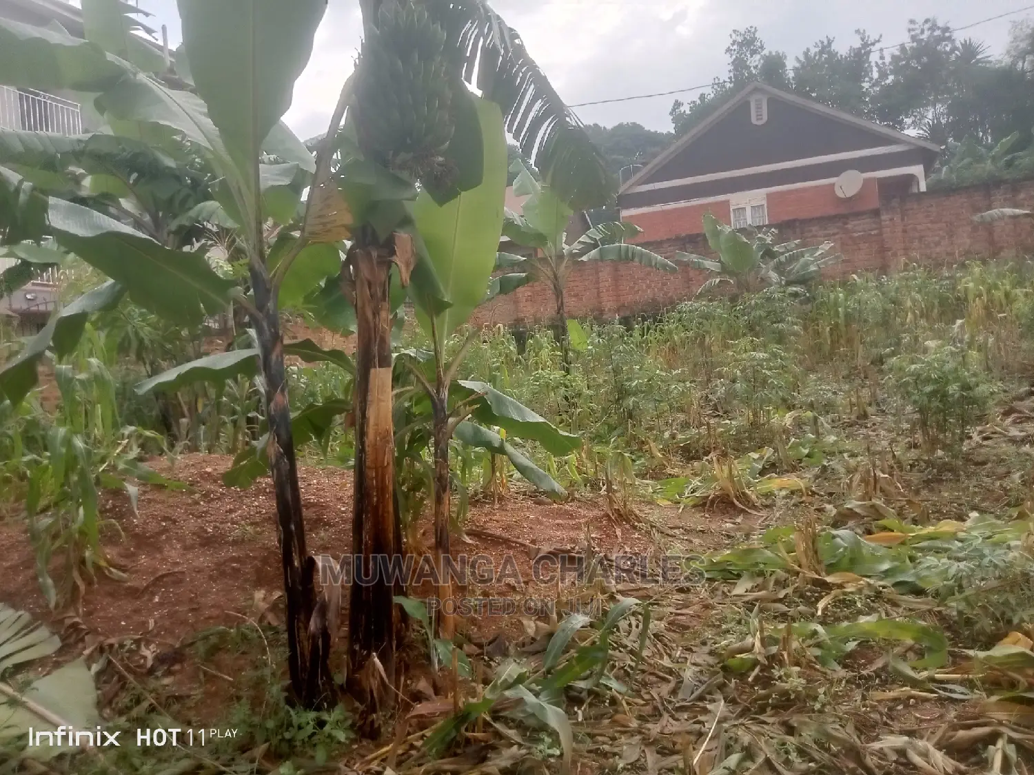 Plots in Kisaasi on Quick Sale