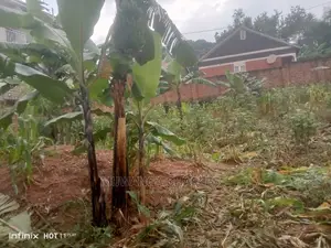 Plots in Kisaasi on Quick Sale